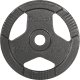 Obciążenie żeliwne olimpijskie zestaw 2x10kg, otwór 51mm, talerz z uchwytami, REBEL ACTIVE 4