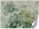 Feeby Fototapeta Zielone kwiaty akwarela 450x315 xxl 1