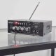 Party Light&Sound Wzmacniacz karaoke 2x 25W PLS1250USB-RC one size 12