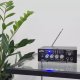 Party Light&Sound Wzmacniacz karaoke 2x 25W PLS1250USB-RC one size 10