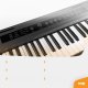 Pianino cyfrowe ważone pełnowymiarowe 88-klawiszowe RhapsodyDP88 Max one size 15