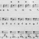 KB Naklejki na klawisze do pianina/keyboardu one size 6