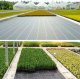 PrimeGarden Agrotkanina czarna 1,1x50m UV 135g antychwastowa agrowłóknina + kotwy 4