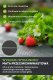 PrimeGarden Agrotkanina czarna 100 cm x50m UV 70g agrowłóknina + kotwy 3