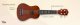 Max Zestaw: Ukulele sopranowe UKEY brązowe+ tuner dwie kostki struny pokrowiec one size 15