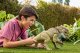 Figurka Mattel Jurassic World Rebirth Distortus Rex (JGB58) 2