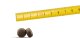 Josera Adult Light & Vital 12,5kg (50014799) 4