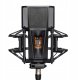 Mikrofon Lewitt PURE TUBE Studio Set lampowy mikrofon kardioidalny z akcesoriami 1