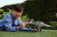 Figurka Mattel Jurassic World T-rex Power Devour z funkcją ataku (JCH02) 2