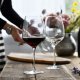 PINOT NOIR GLASS DIVINE  0.7L 6PCE 2