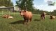 FARMING SIMULATOR 25: HIGHLANDS FISHING EDITION PS5 6