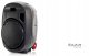 Kolumna mobilna Ibiza PORT12UHF-MKII one size 11