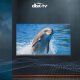 Telewizor CHiQ CHiQ L43QST TV 43", FHD, QLED, ultratenká, Android14, Dolby Audio, Frameless 7