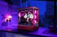 Komputer Game X Powered By MSI MLG, Ryzen 5 9600X, 16 GB, RTX 5070 Ti, 1 TB M.2 PCIe Brak systemu 16