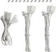 Wentylator Deepcool FL14 3-pack (R-FL14-WHAPN3-G) 6