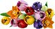 LEGO Botanicals Bukiet tulipanów, zestaw dla dorosłych (11501) 2