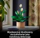 LEGO Botanicals Skrzydłokwiat (11504) 6