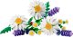 LEGO Botanicals Stokrotki (11508) 8