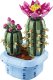 LEGO Botanicals Kwitnący kaktus (11509) 2