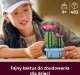 LEGO Botanicals Kwitnący kaktus (11509) 3