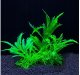 Terra Natura Aqua Natura, roślina do dekoracji akwarium, zielona, plastikowa, 12 cm, rozłożyste liście 2