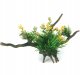 Terra Natura Aqua Natura,  roślina, do dekoracji akwarium, kompozycja na korzeniu, plastikowa, 12-31 cm , różne rodzaje roślin 1