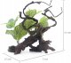 Terra Natura Aqua Natura,  roślina, do dekoracji akwarium, kompozycja na korzeniu, plastikowa, 12-31 cm , różne rodzaje roślin 4