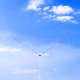 Antena D-Original KF 5 pasm 7 / 14 / 21 / 28 / 50 MHz dipol sztywny DX-ADIP-HF-5B 2