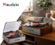Gramofon Reno Retro Wood one size 15