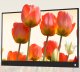 Monitor Zeuslap P15A 3