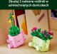 LEGO Botanicals Bujające się roślinki (11506) 3