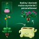 LEGO Botanicals Bujające się roślinki (11506) 4