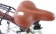 Kozbike Rower miejski 28 Holland Retro 6s miętowo-brązowy 3