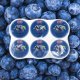 Rico Rico Blueberry Pudding deser o smaku borówkowym 6x65g 4