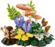 LEGO Botanicals Grzyby leśne (11505) 2