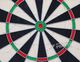Harrows Tarcza sizalowa Oficial Competition 45.7 cm (T1121) 10