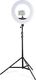 Lampa błyskowa Walimex Pro GN-806 Lamp Tripod (21424) 3