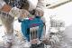 Bosch Młot wyburzeniowy GSH 16-28 1750 W 3