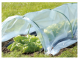 Greenmill Miniszklarenka 300 cm x 150 cm x 48 cm (GR5001) 2