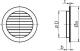 Vents Kratka okrągła biała z siatką 100mm (WPFMV100BVWH) 2