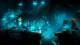 Microsoft Studios Ori and the Blind Forest: Definitive Edition PC, wersja cyfrowa 4