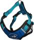 All For Dogs Szelki sportowe niebieskie r. L 70-125cm 1