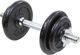 Eb Fit ‎‎Hantel żeliwny 1 x 10 kg 2