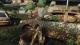 Sony The Last of Us Remastered PS4 5