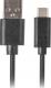 Kabel USB Lanberg USB-A - USB-C 0.5 m Czarny (CA-USBO-10CU-0005-BK) 2