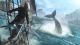 Assassins Creed IV Black Flag Xbox 360 2