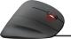 Mysz Trust GXT 144 Rexx  (22991) 7