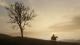 Red Dead Redemption 2 Xbox One 9