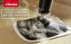 Mop parowy Vileda Steam Plus 15