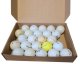 PETPOLONIA Lakeballs Mix piłek różnych marek 2